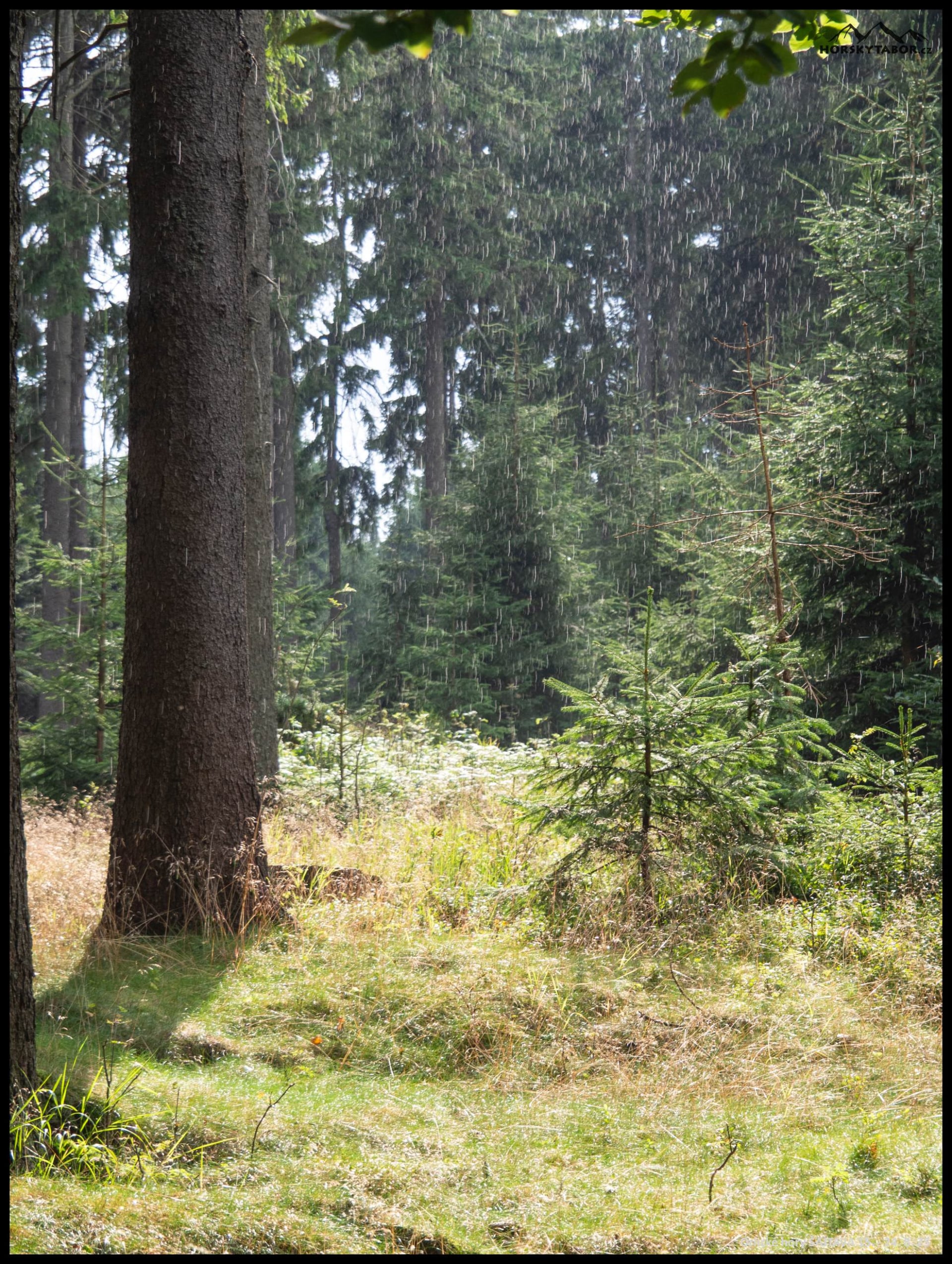 horsky-tabor-2025-leto-19